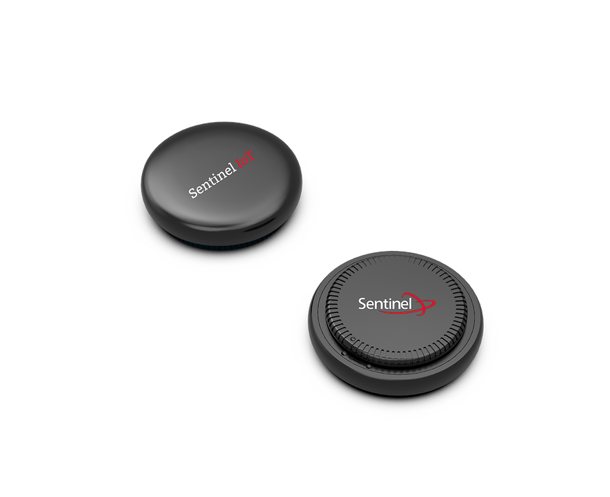sentinel node – ultra compact ble air tag + platform access sentinel node – ultra compact ble air tag + platform access