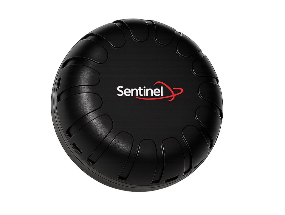 sentinel pebble – rugged multi purpose ble tracker + platform access sentinel pebble – rugged multi purpose ble tracker + platform access