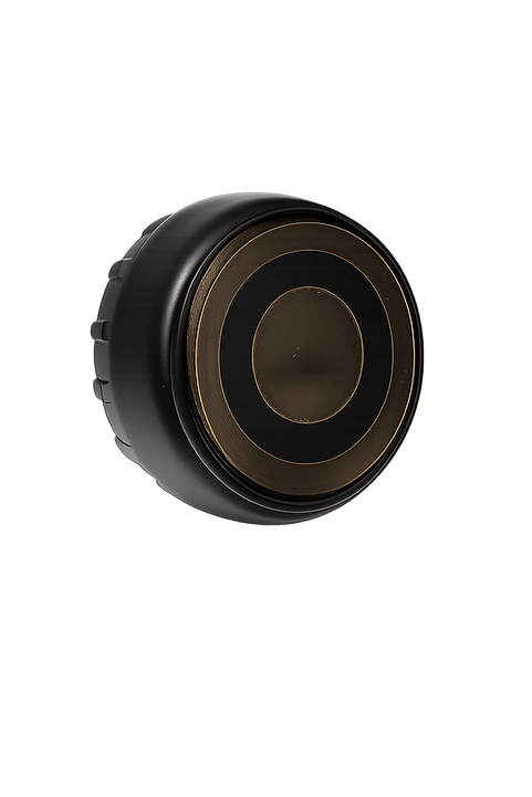 sentinel pebble – rugged multi purpose ble tracker + platform access sentinel pebble – rugged multi purpose ble tracker + platform access